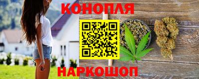 гидра Будённовск