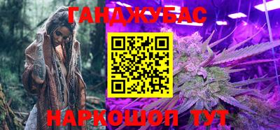гидра Будённовск