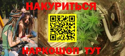 гидра Будённовск