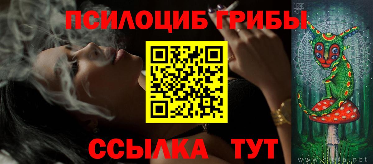 Псилоцибиновые грибы ЛСД  Псилоцибиновые грибы Psilocybine cubensis  Татарск  Вход с VPN 